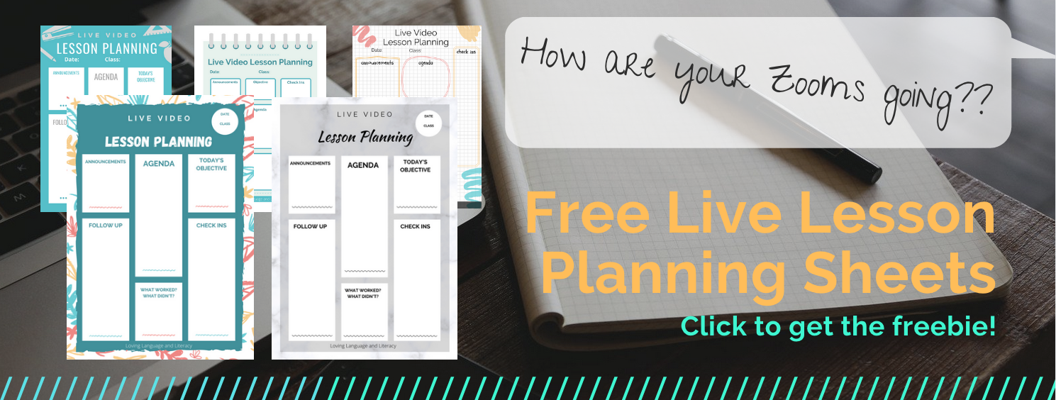 Live Video Lesson Planning Printable